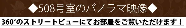 508号室のストリートビュー